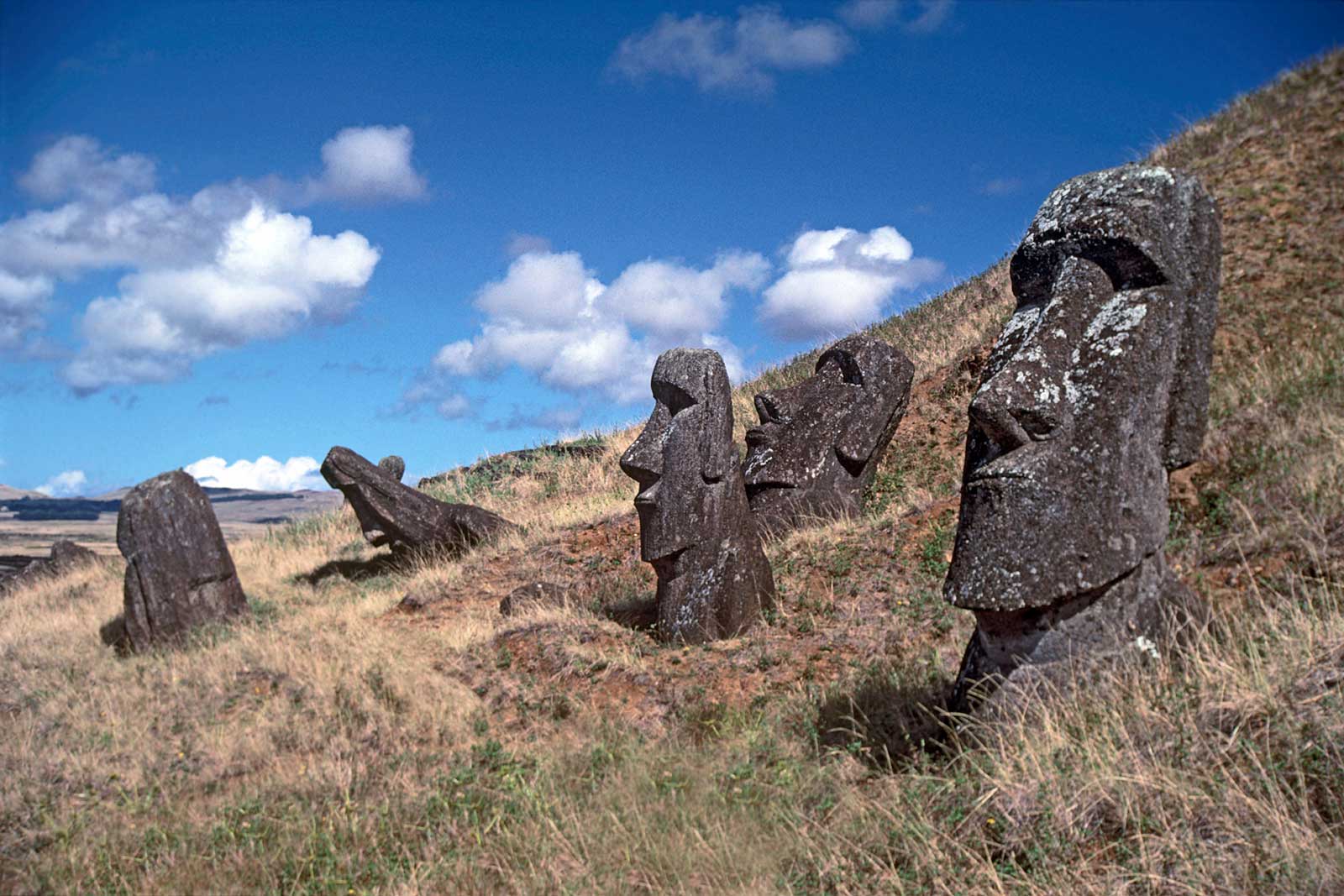 Easter Island Aku Aku View